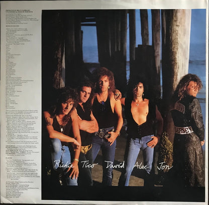 Bon Jovi : New Jersey (LP, Album)