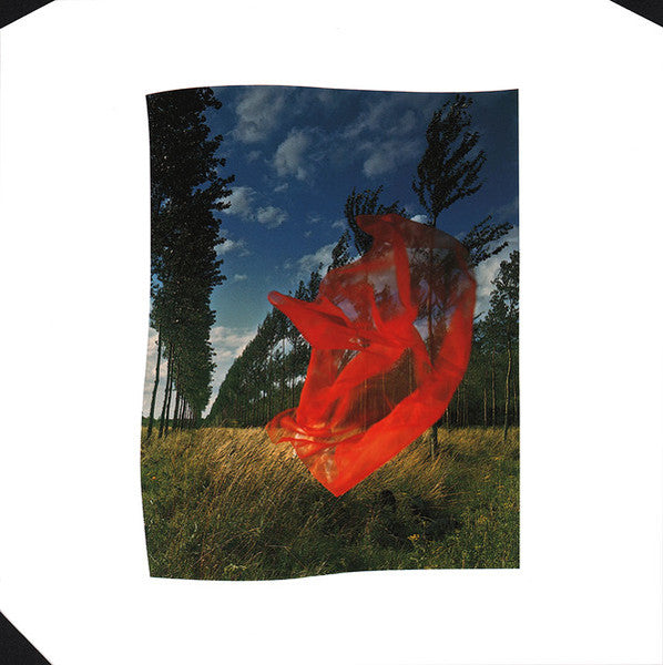 Pink Floyd : Wish You Were Here (LP, Album, RE, RM, 180)