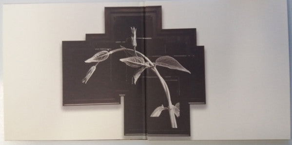 R.E.M. : Out Of Time (LP, Album, RE + 2xLP, Dem + Ltd, RM, 25t)