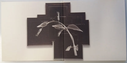 R.E.M. : Out Of Time (LP, Album, RE + 2xLP, Dem + Ltd, RM, 25t)