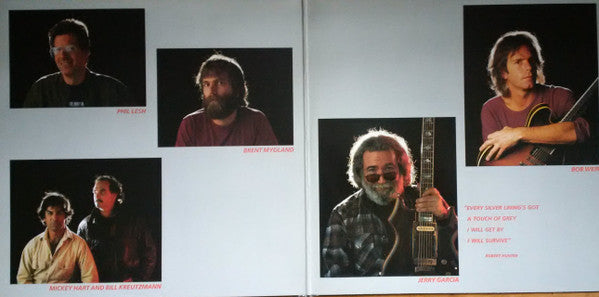 Grateful Dead* : In The Dark (LP, Album)