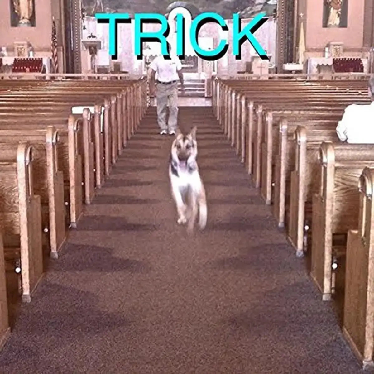 Alex G - Trick
