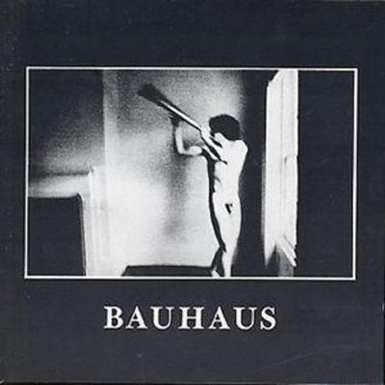 Bauhaus - In The Flat Field