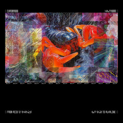 BICEP - CHROMA 000 (Special Edition Case)