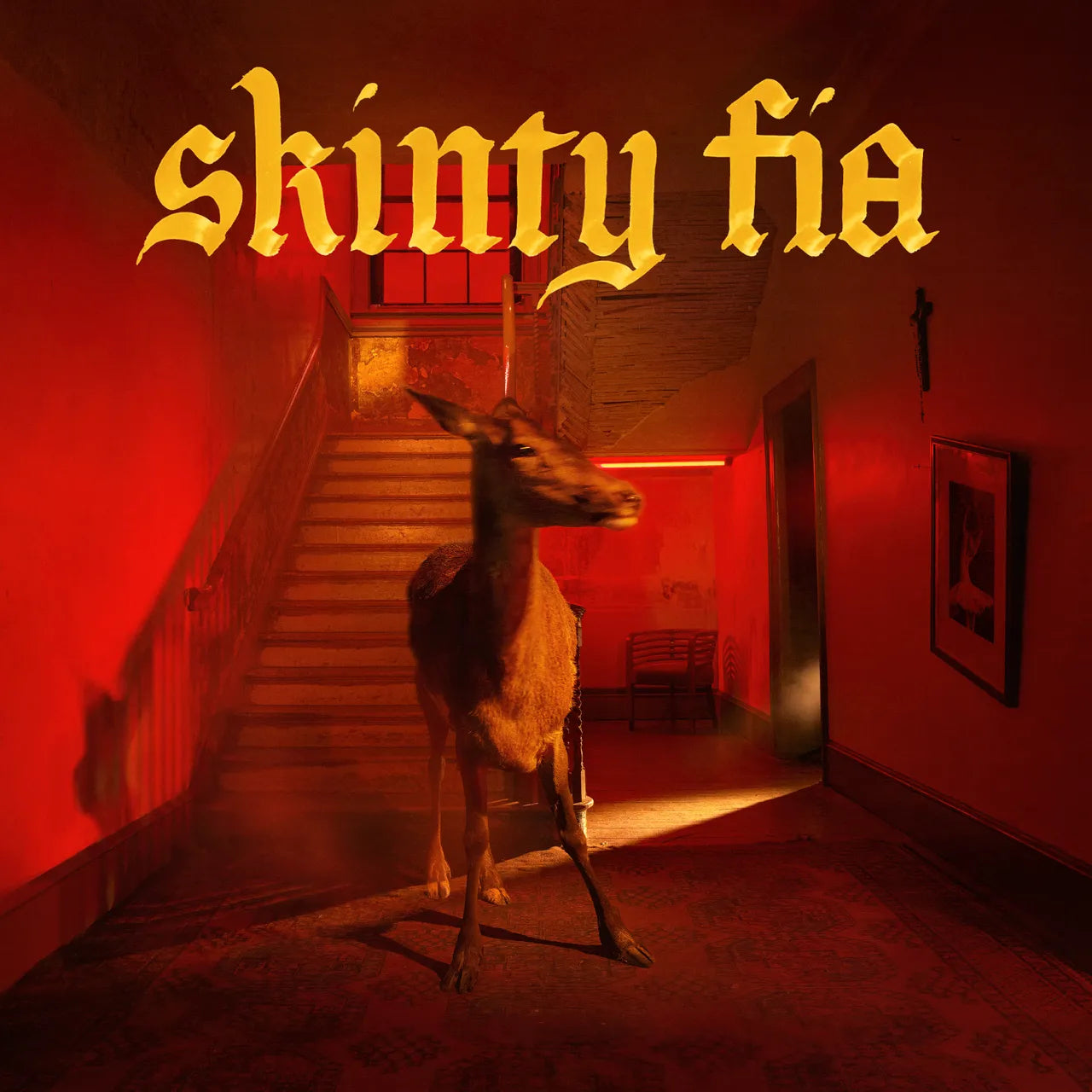 Fontaines D.C. - Skinty Fia (Red Vinyl)