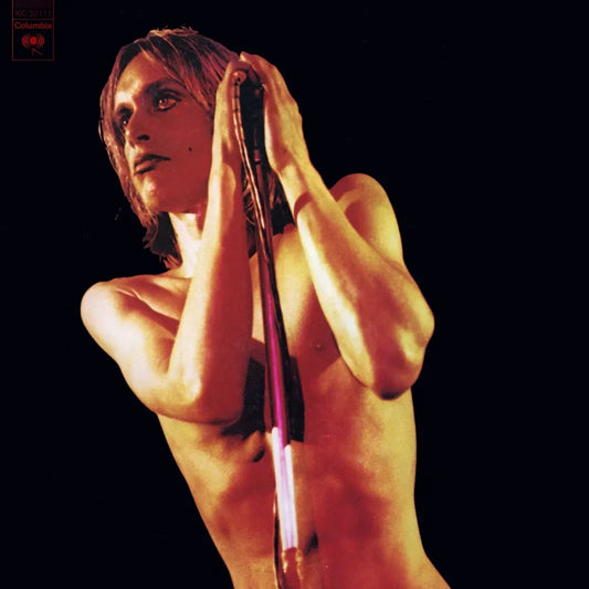 Iggy & The Stooges – Raw Power