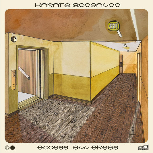 Karate Boogaloo - Access All Areas vinyl