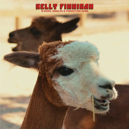 Kelly Finnigan - B-Sides, Singles and Forgotten Gems