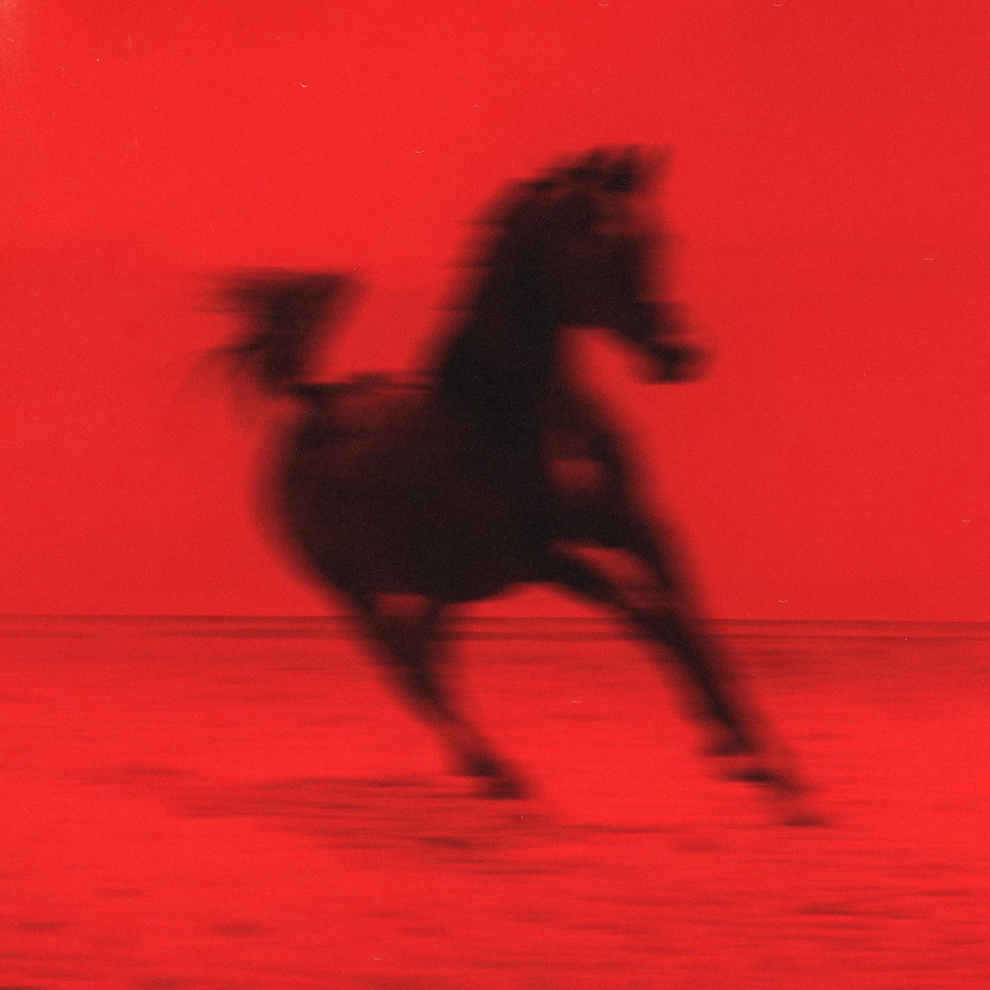 Red Rum Club - BUCK (Red/Black Splatter)