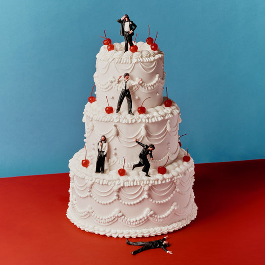Blossoms - Songs From The Wedding Cake vinyl