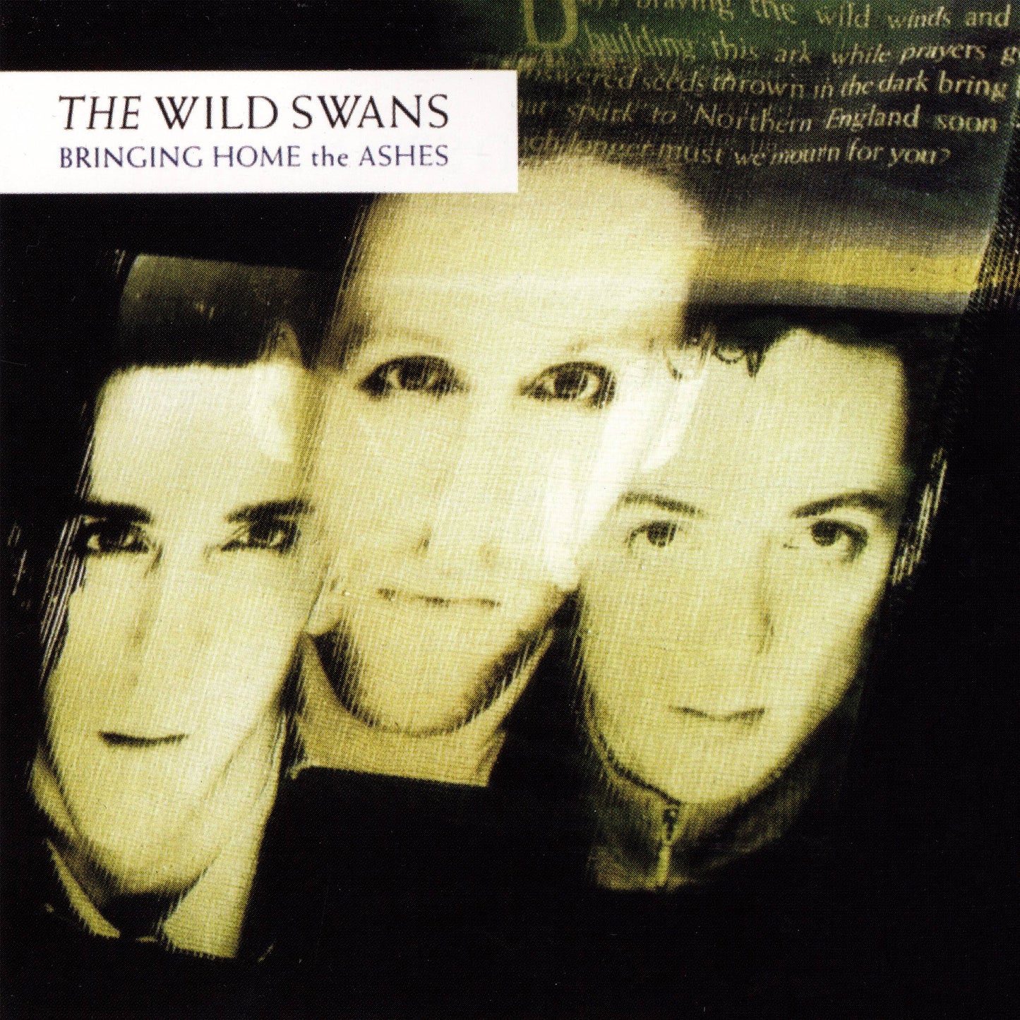 The Wild Swans - Bringing Home the Ashes