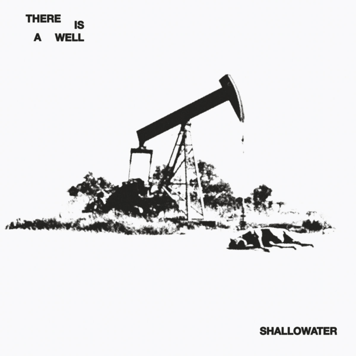 Shallowater - There Is A Well
