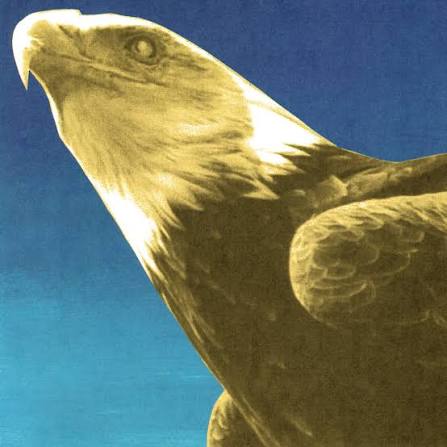 Protomartyr - Hotel Usona cover artwork