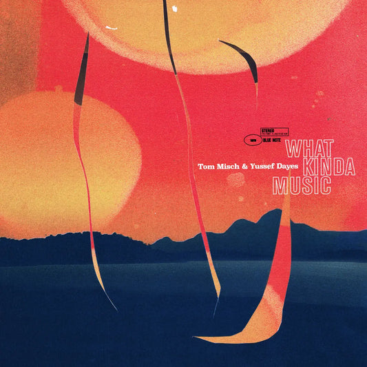 Tom Mish And Yussef Dayes - What Kinda Music