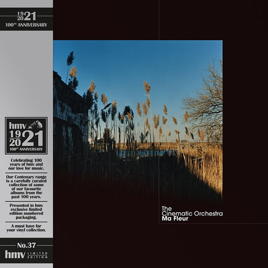 The Cinematic Orchestra : Ma Fleur (2xLP, Album, Ltd, RE, Gol)