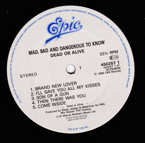 Dead Or Alive : Mad, Bad, And Dangerous To Know (LP, Album, Gat)