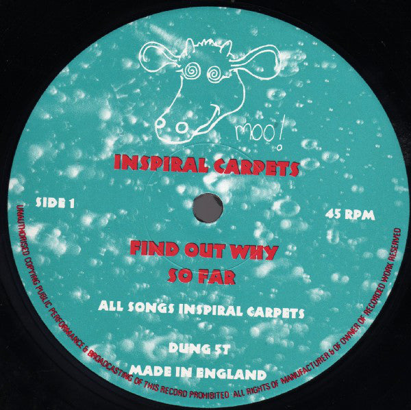 Inspiral Carpets : Find Out Why (12", Single)