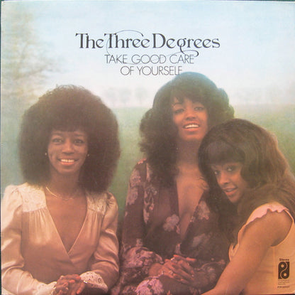 The Three Degrees : Take Good Care Of Yourself (LP, Album)