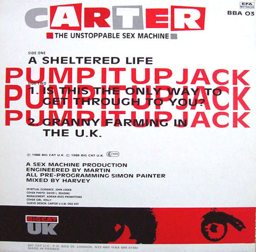 Carter The Unstoppable Sex Machine : A Sheltered Life (12", Single)